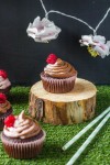 dvojfarebné čokoládovo - malinové cupcakes